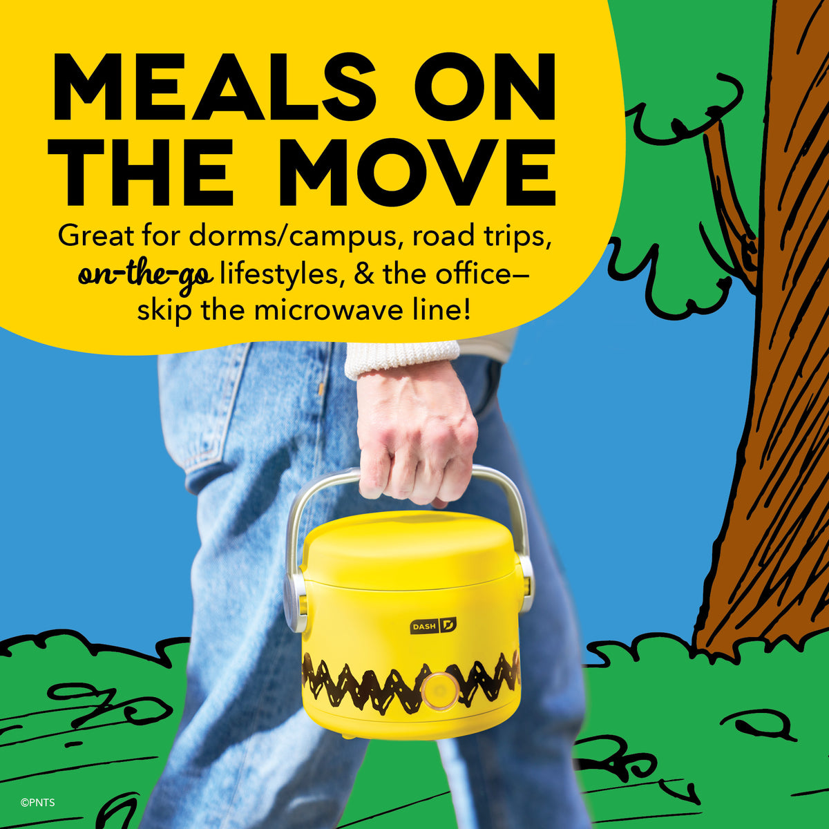 Hot2Go™ Electric Lunchbox (20 Ounce) Electric Lunchbox Dash