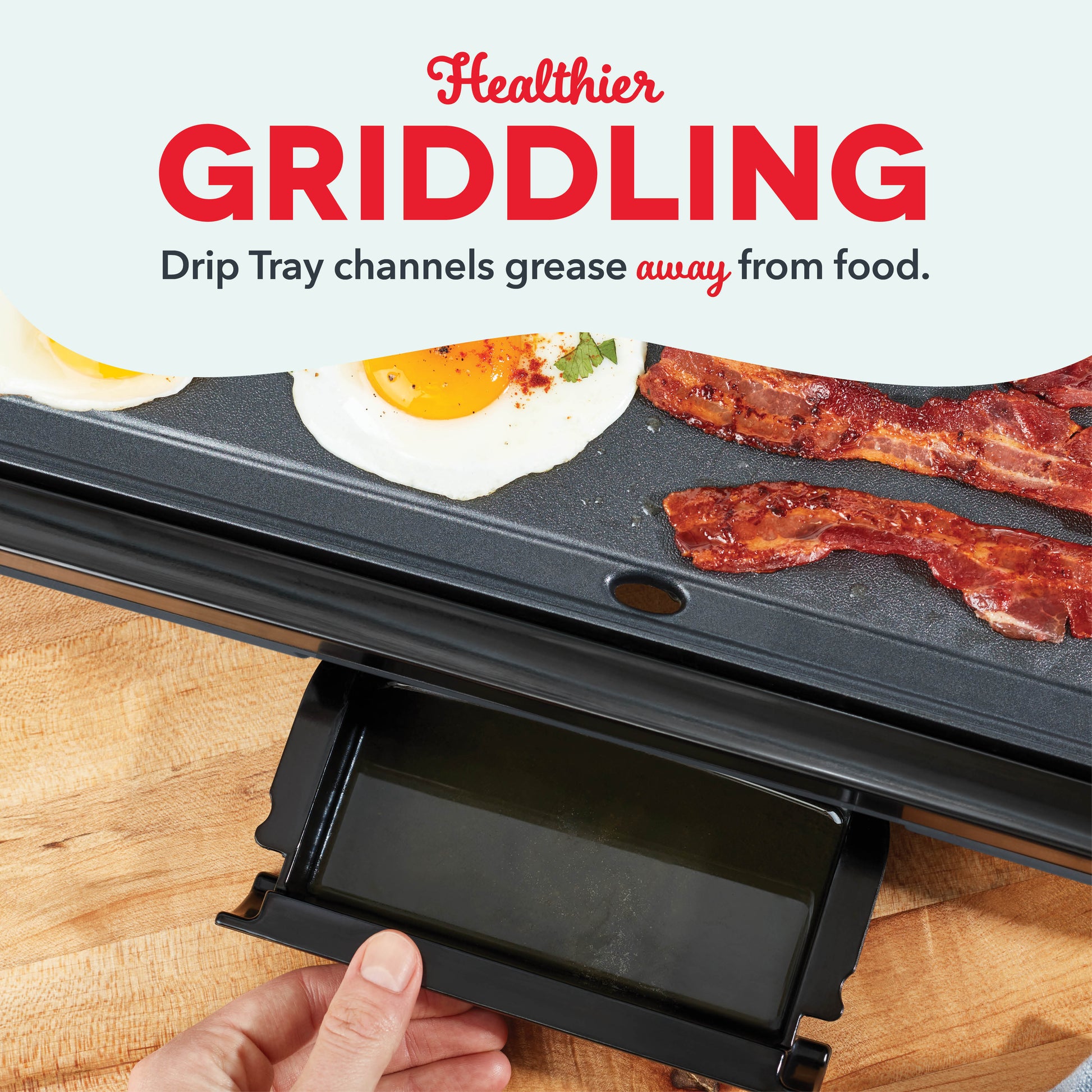 Everyday Griddle Griddles and Panini Presses Dash   