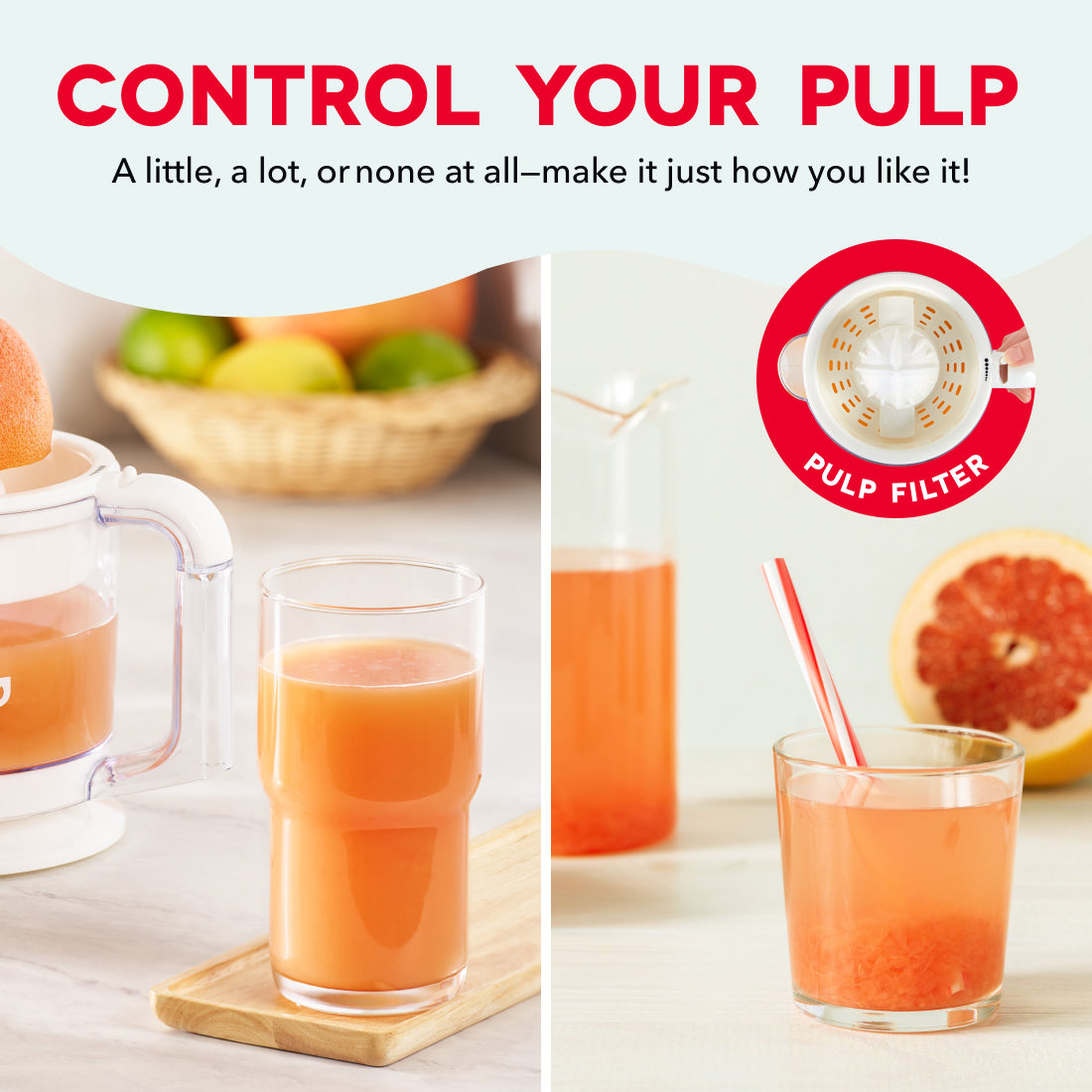 Dual Citrus Juicer Juicers Dash