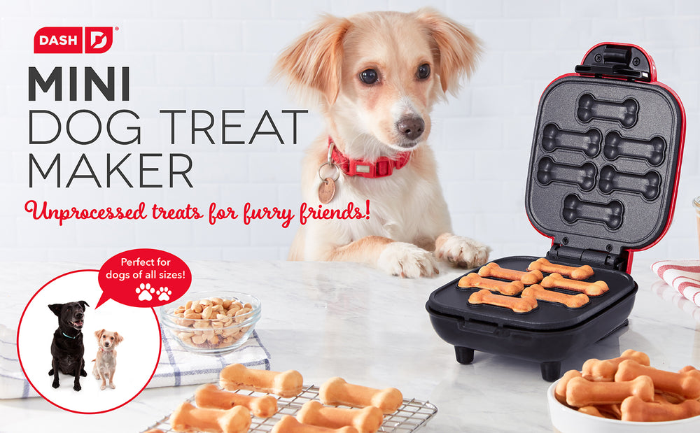 A dog with a red collar watches a fresh batch of mini dog treats cook.