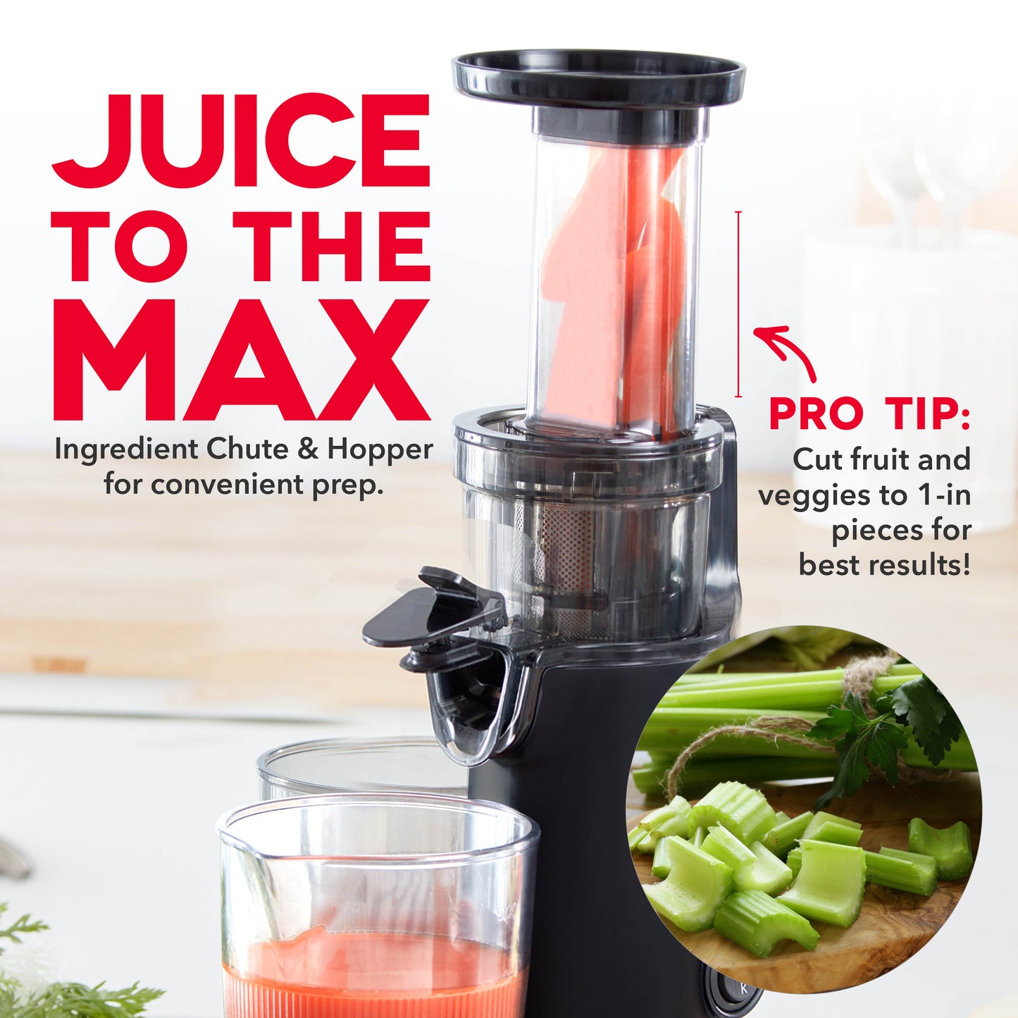 Compact Cold Press Power Juicer Juicers Dash   