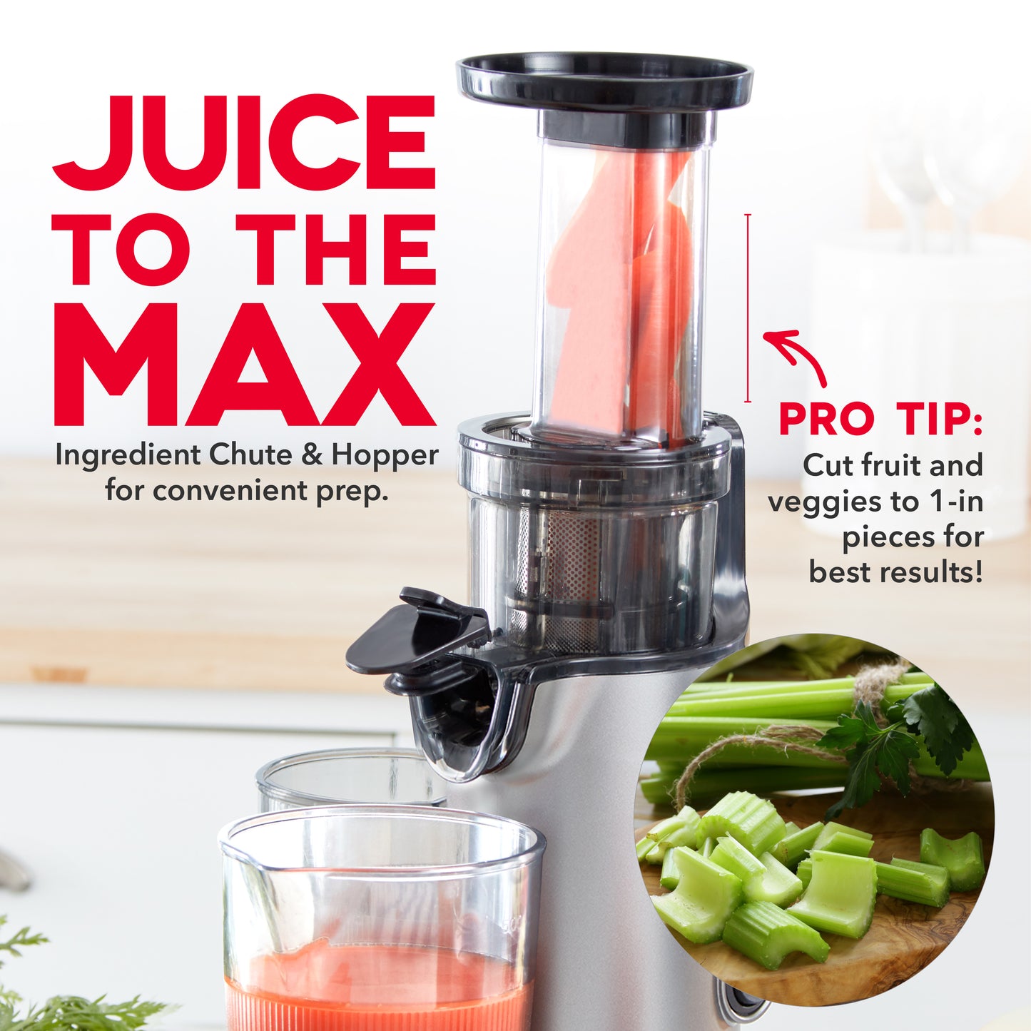 Compact Cold Press Power Juicer Juicers Dash   