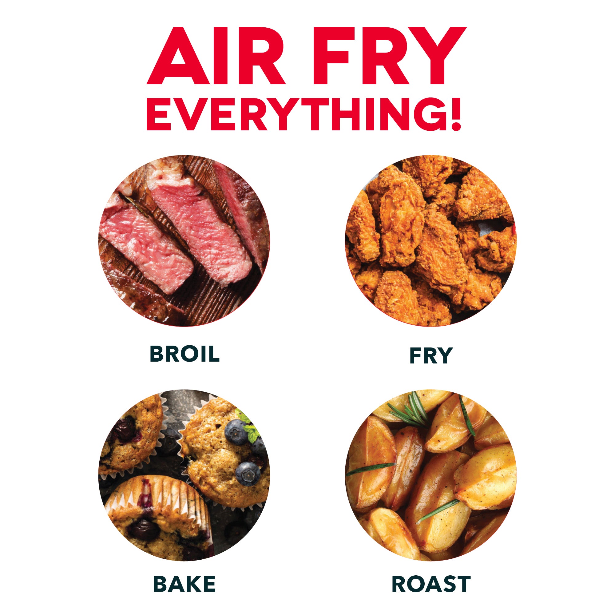 Dash air 2024 fryer cookbook