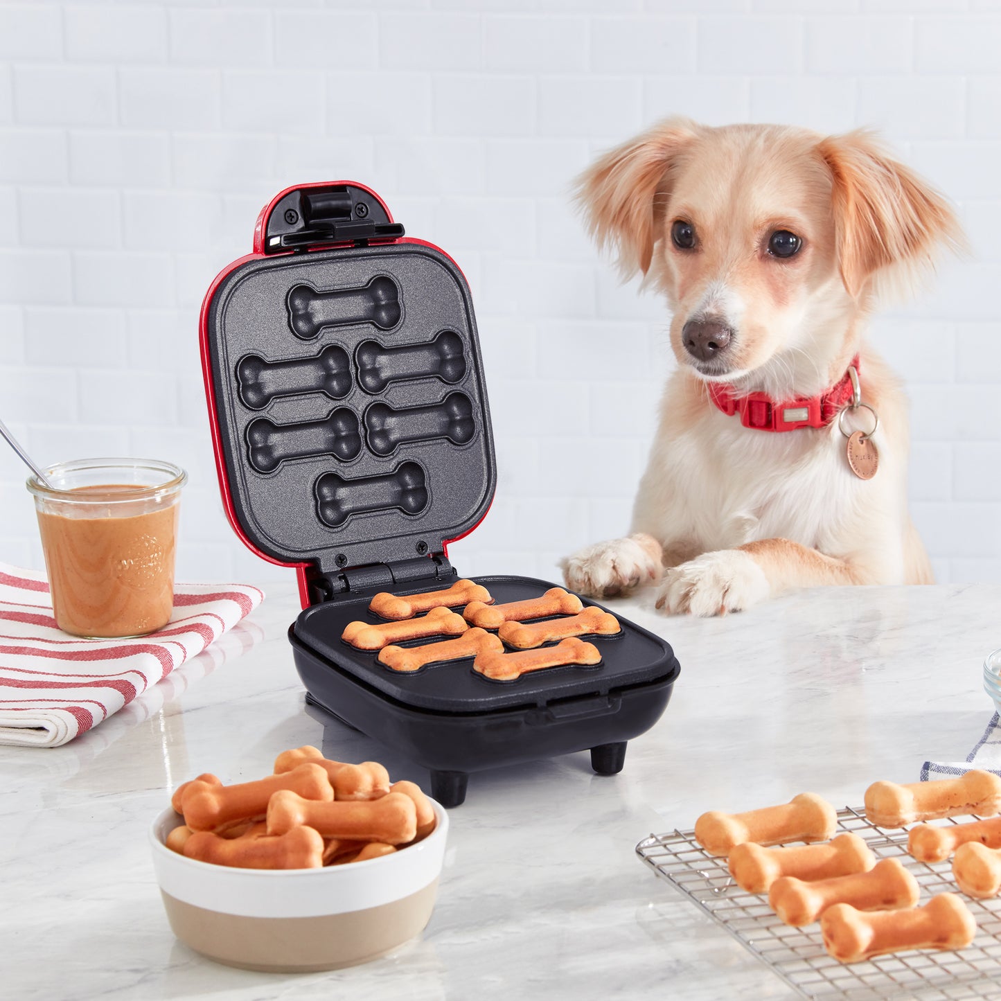 Dash Mini Dog Treat Maker - Red