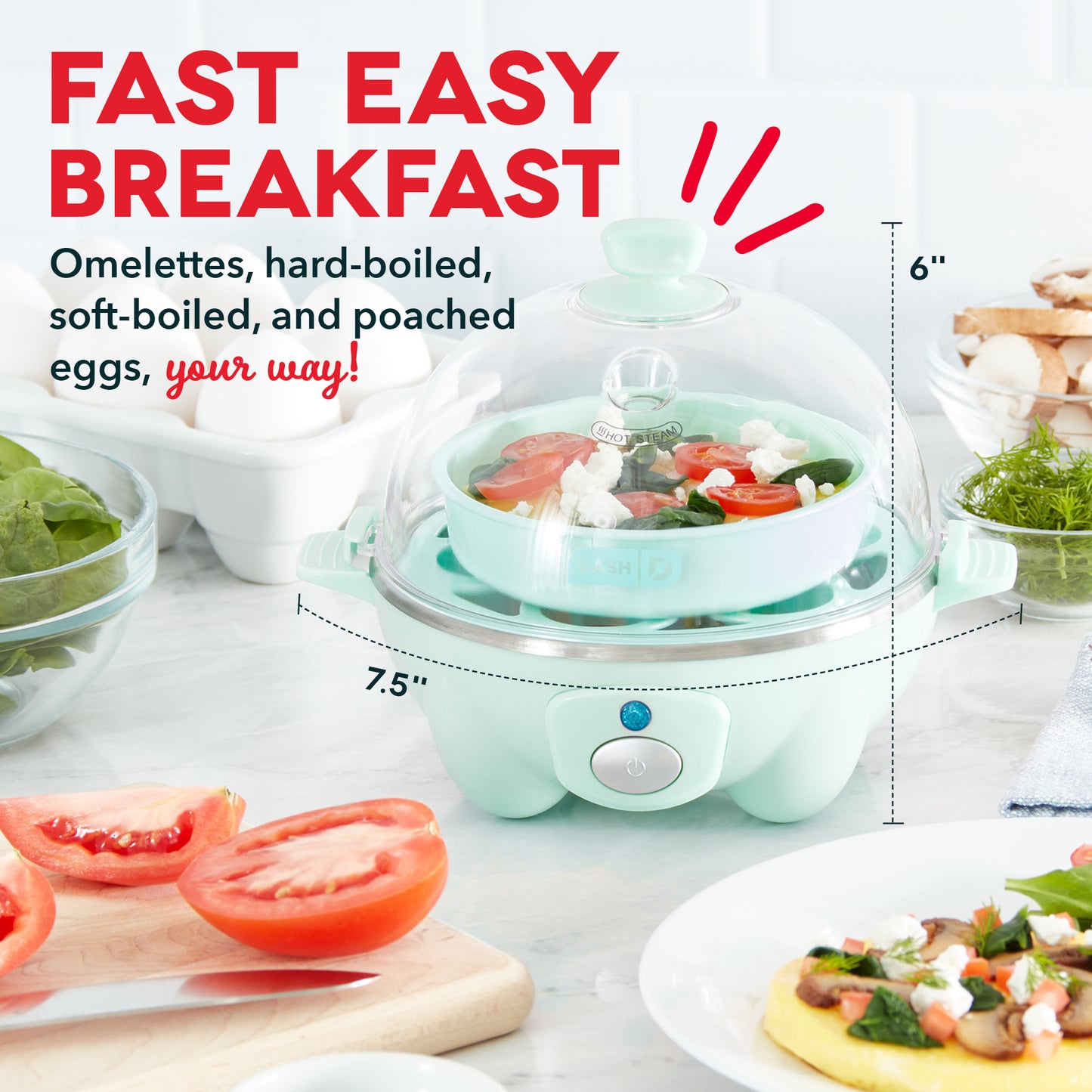 Dash Rapid Egg Cooker: 6 Egg Capacity Electric Egg Cooker for Hard Boiled Eggs, Poached Eggs, Scrambled Eggs, or Omelets with Auto Shut Off Feature