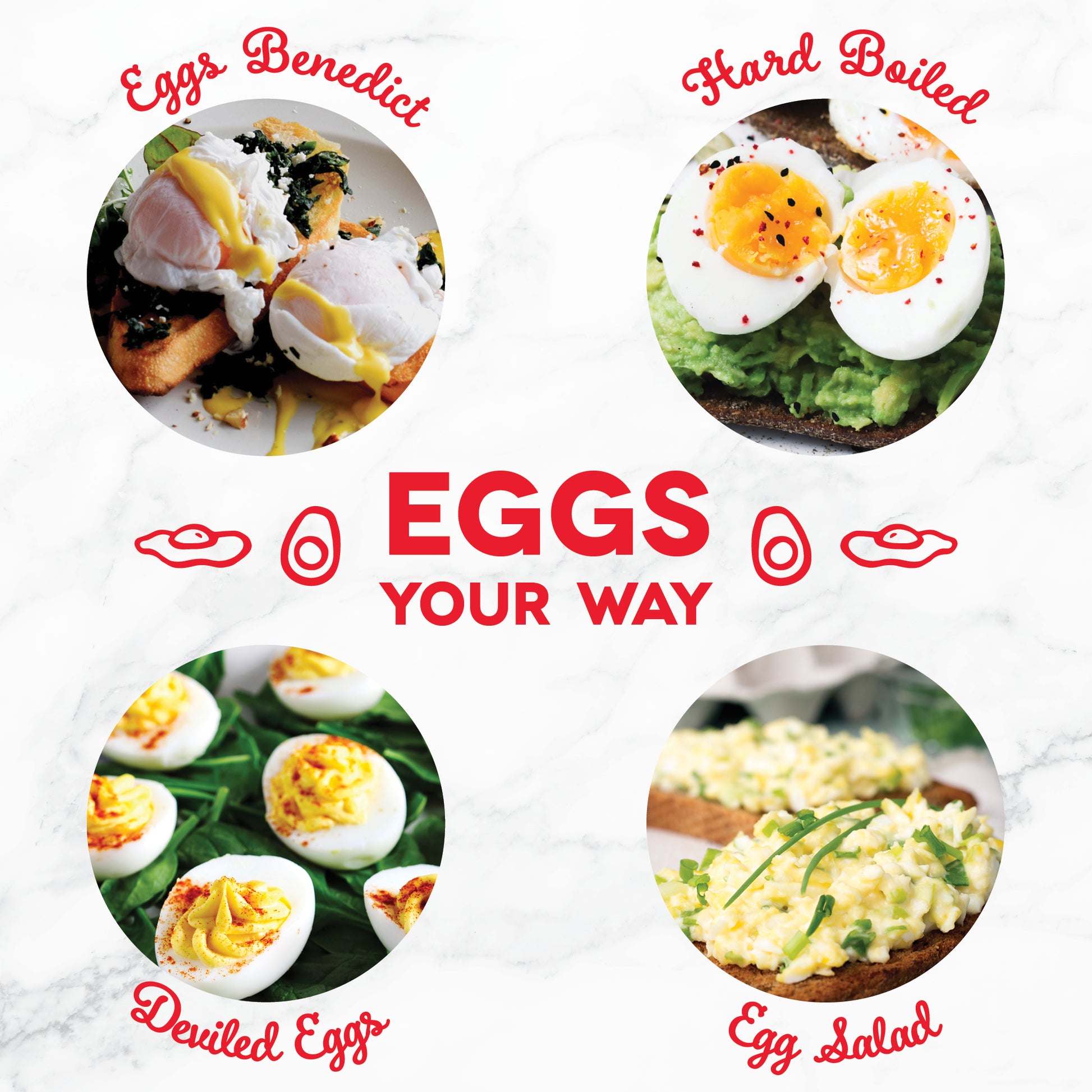 7-Egg Everyday Egg Cooker-Dash – Second Chance Thrift Store - Bridge