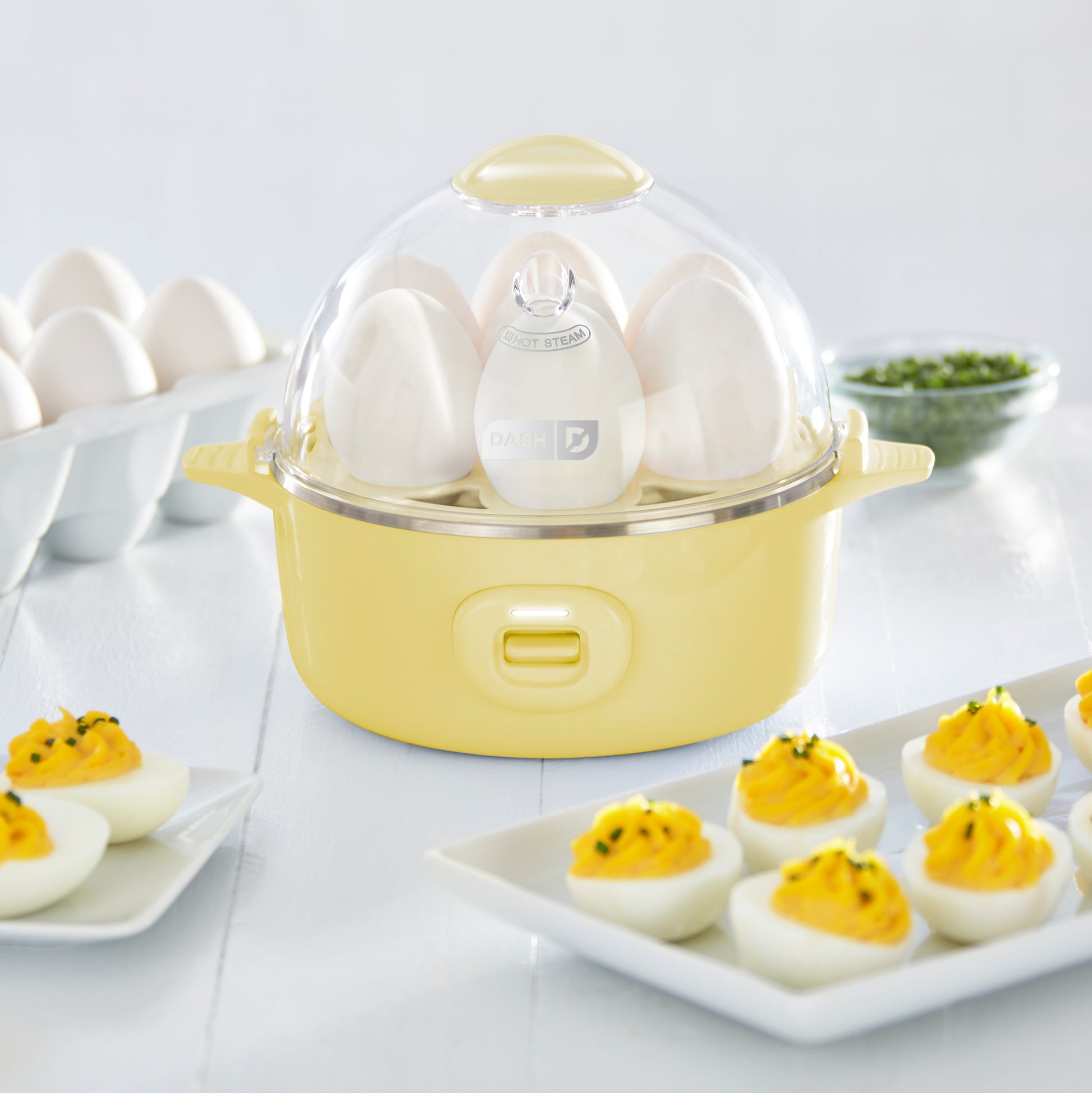 Express Egg Cooker egg-cookers Dash   