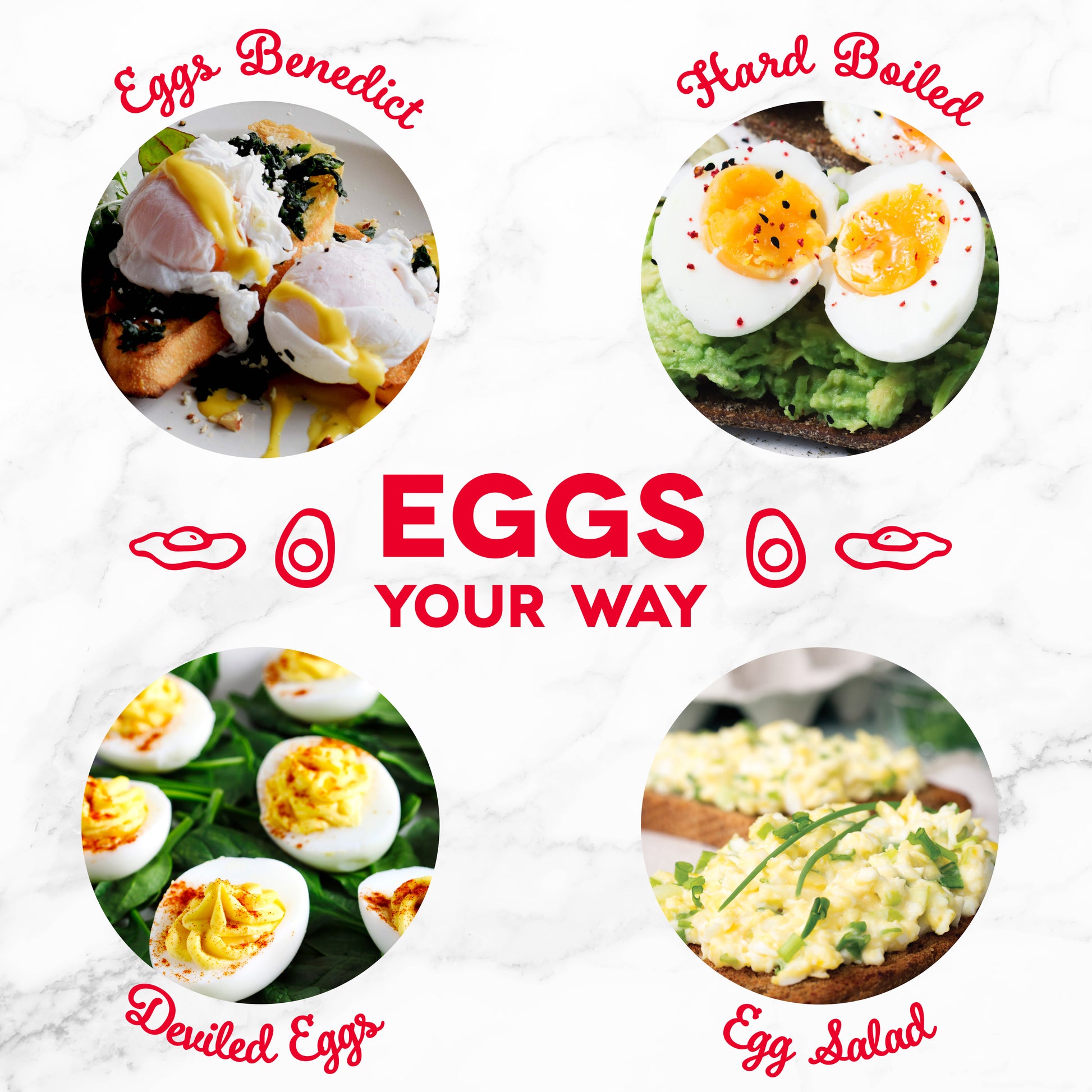 Electric Rapid 12 Eggs Cooker W/ Auto Shut Off – Joanna Home