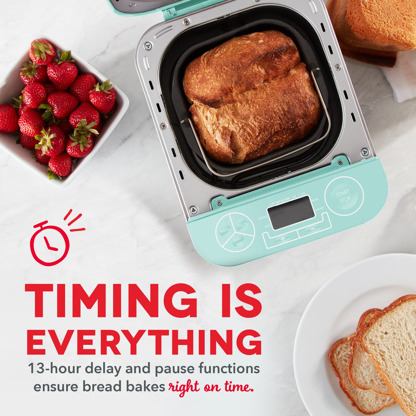 Everyday 1.5 LB Bread Maker Specialty Dash   